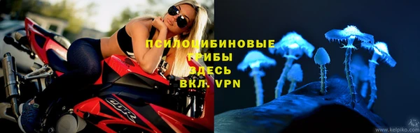 не бодяженный Бородино