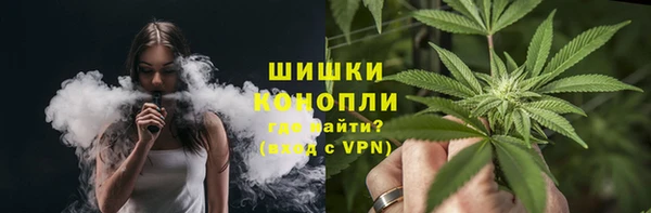 мдпв Бронницы