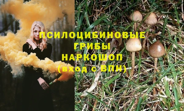 не бодяженный Бородино