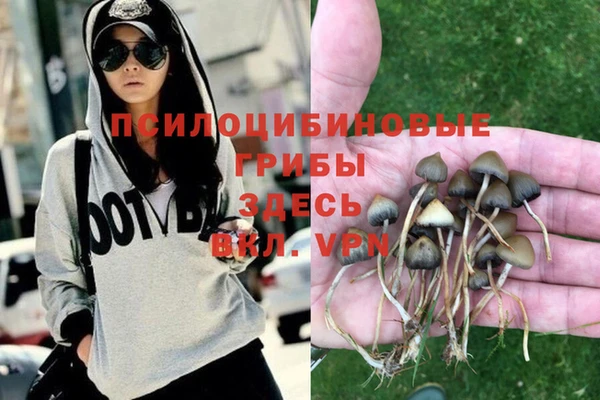 не бодяженный Бородино