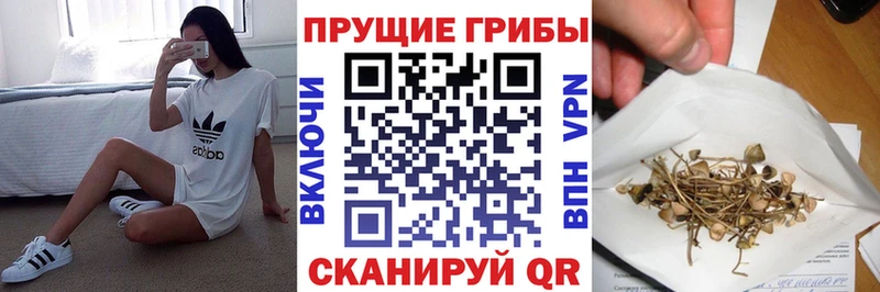 Галлюциногенные грибы MAGIC MUSHROOMS Нижний Тагил